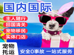大连空运公司国际宠物托运 【国